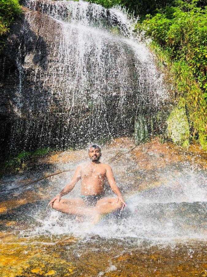 Forest Shade Eco Resort Deraniyagala Dış mekan fotoğraf