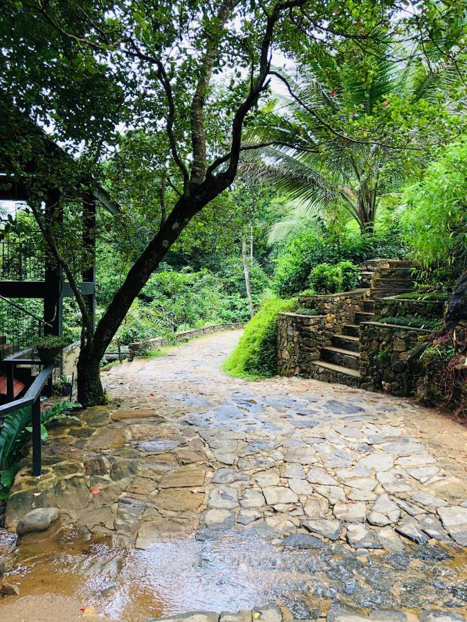 Forest Shade Eco Resort Deraniyagala Dış mekan fotoğraf