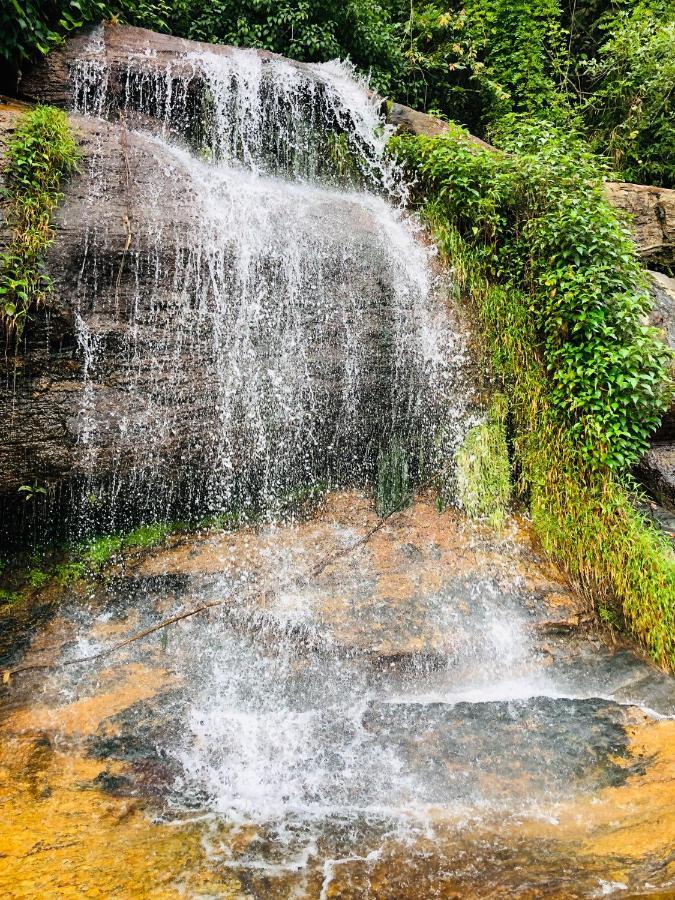 Forest Shade Eco Resort Deraniyagala Dış mekan fotoğraf