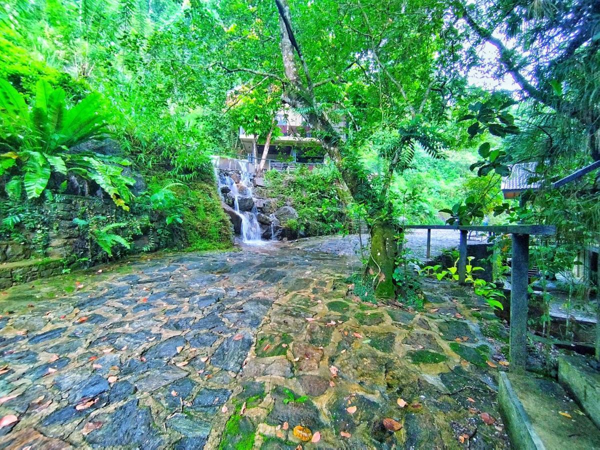 Forest Shade Eco Resort Deraniyagala Dış mekan fotoğraf