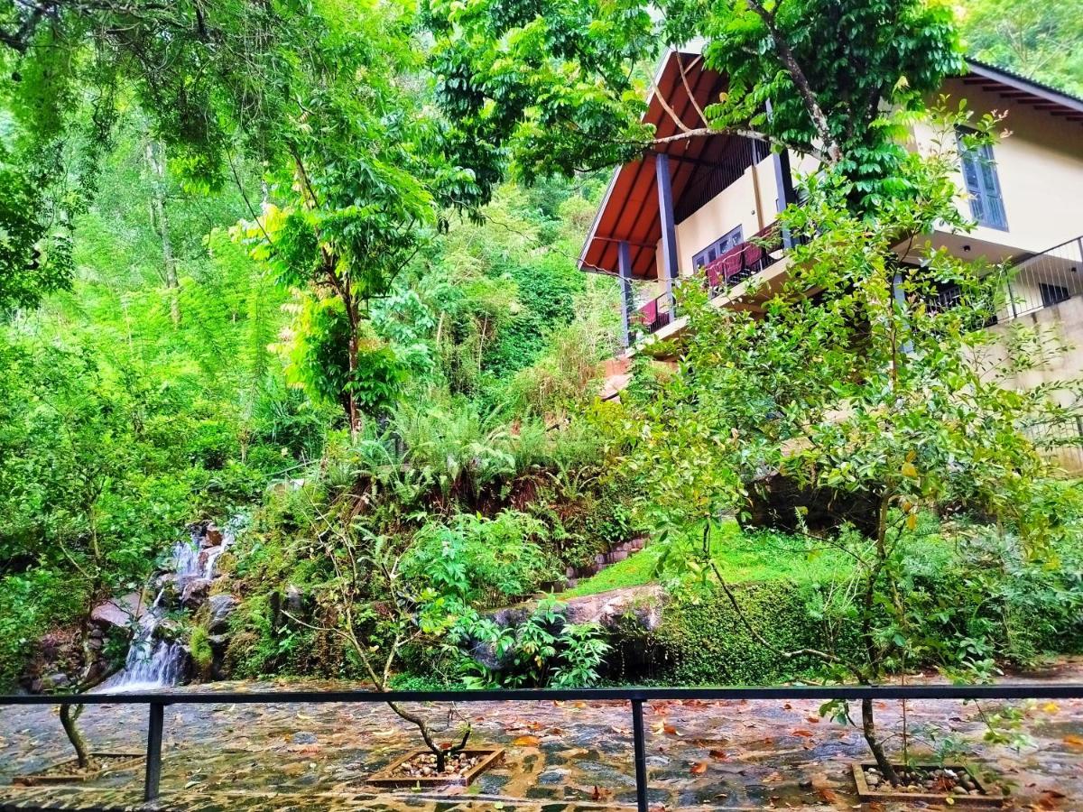 Forest Shade Eco Resort Deraniyagala Dış mekan fotoğraf