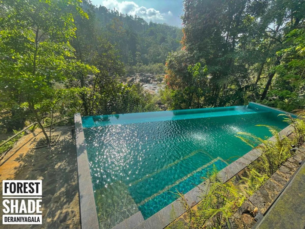 Forest Shade Eco Resort Deraniyagala Dış mekan fotoğraf